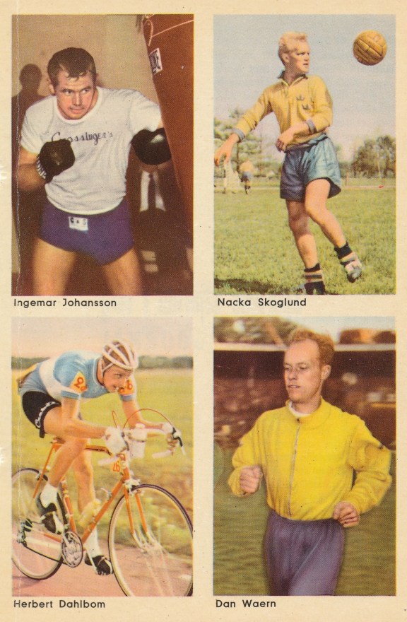 Ingo sidan